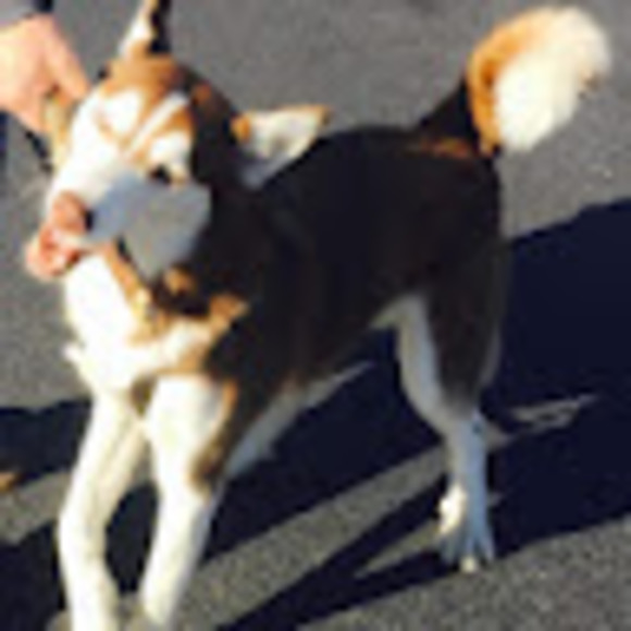 Meet your Posher, Leah - Picture 1 of 1